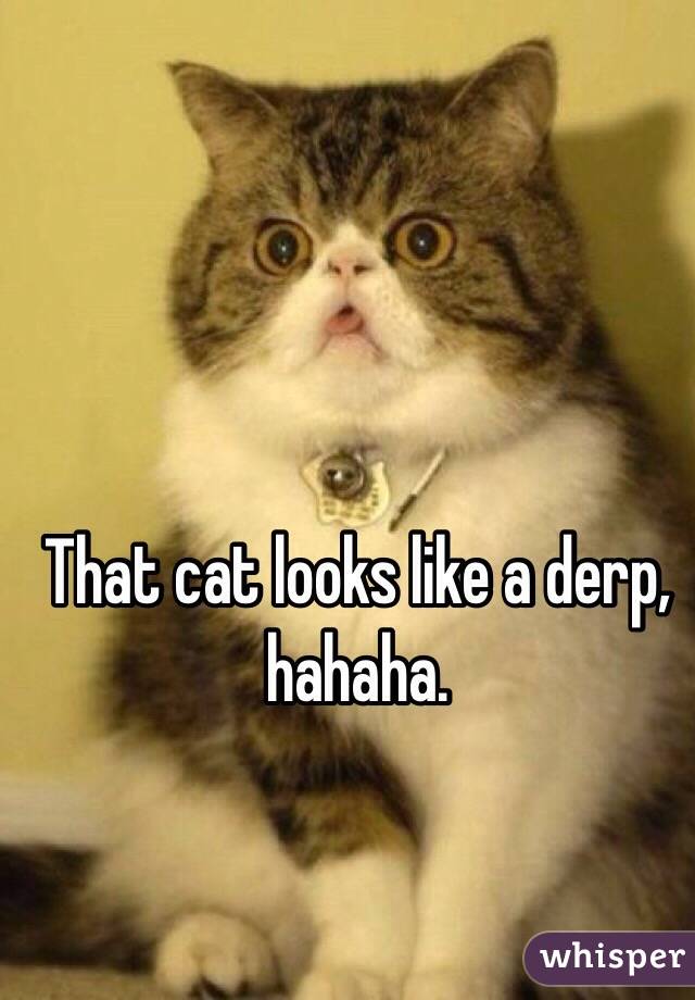 That cat looks like a derp, hahaha.