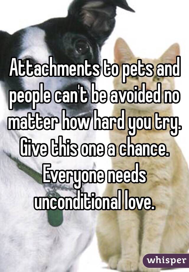 Attachments to pets and people can't be avoided no matter how hard you try.  Give this one a chance.  Everyone needs unconditional love.