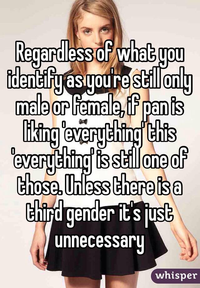 Regardless of what you identify as you're still only male or female, if pan is liking 'everything' this 'everything' is still one of those. Unless there is a third gender it's just unnecessary   