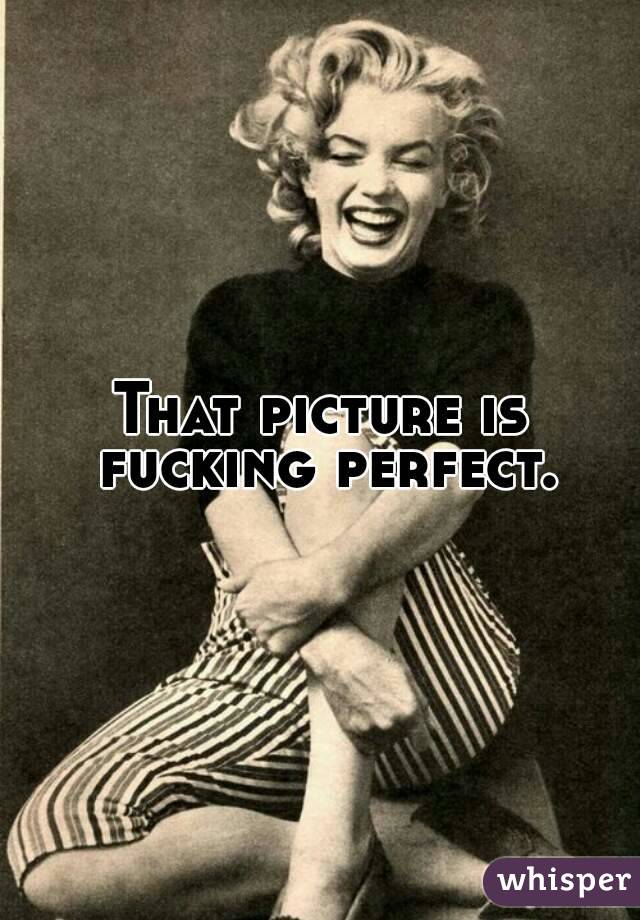 That picture is fucking perfect.