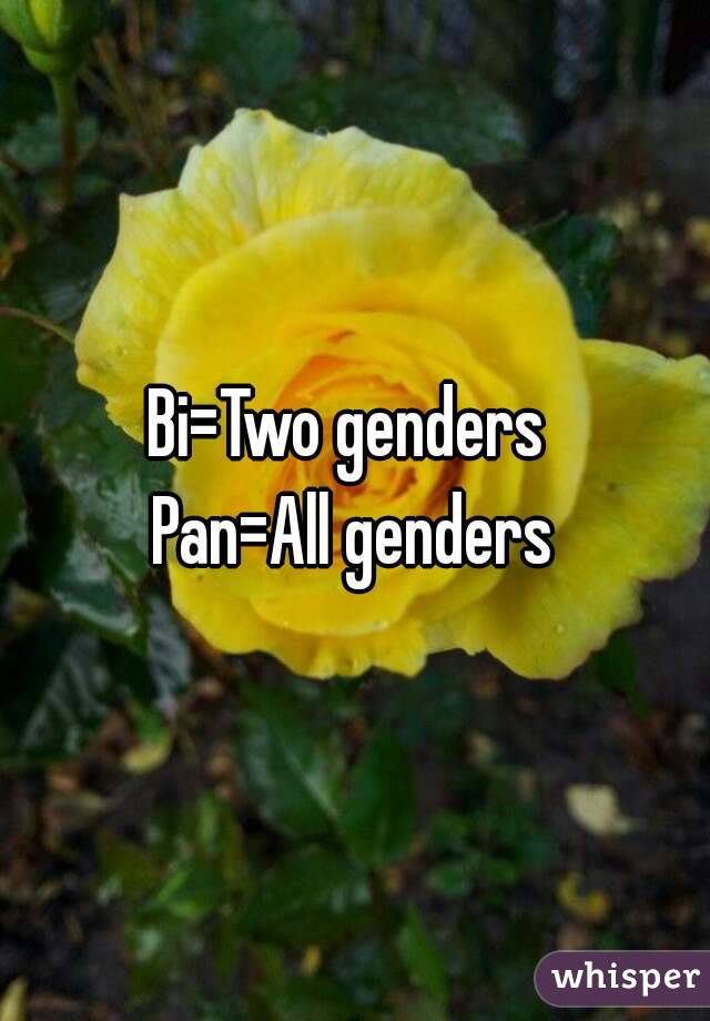 Bi=Two genders 
Pan=All genders
