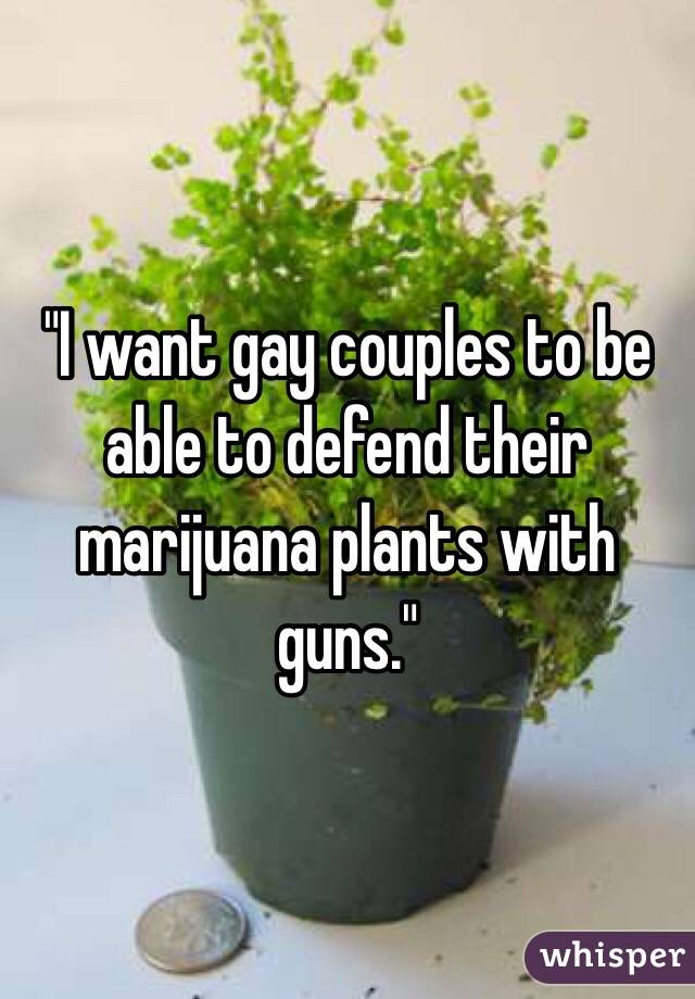 "I want gay couples to be able to defend their marijuana plants with guns." 