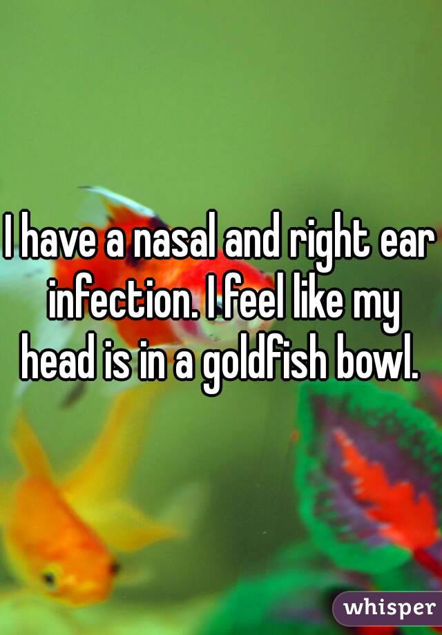 I have a nasal and right ear infection. I feel like my head is in a goldfish bowl. 