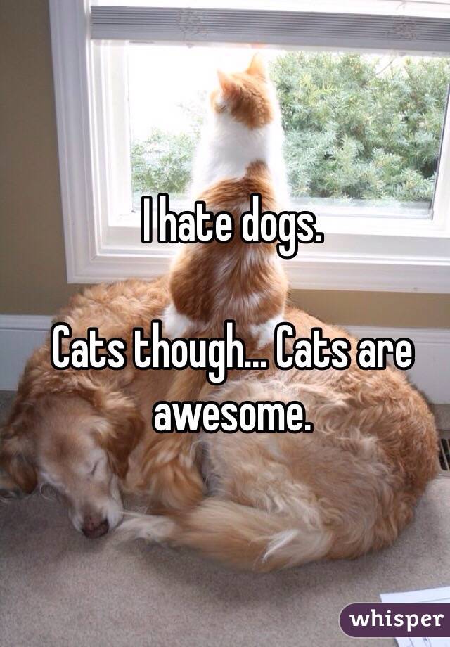 I hate dogs. 

Cats though... Cats are awesome. 