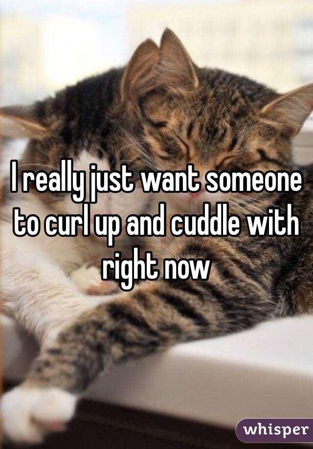 I really just want someone to curl up and cuddle with right now 
