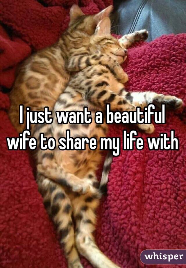 I just want a beautiful wife to share my life with