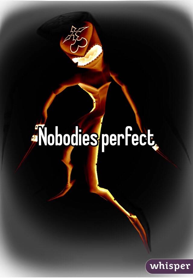 Nobodies perfect 