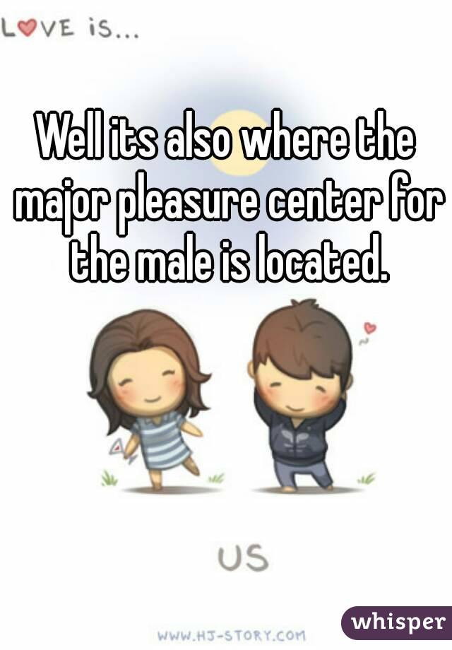 Well its also where the major pleasure center for the male is located.