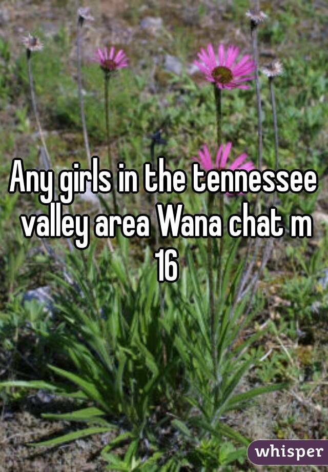 Any girls in the tennessee valley area Wana chat m 16