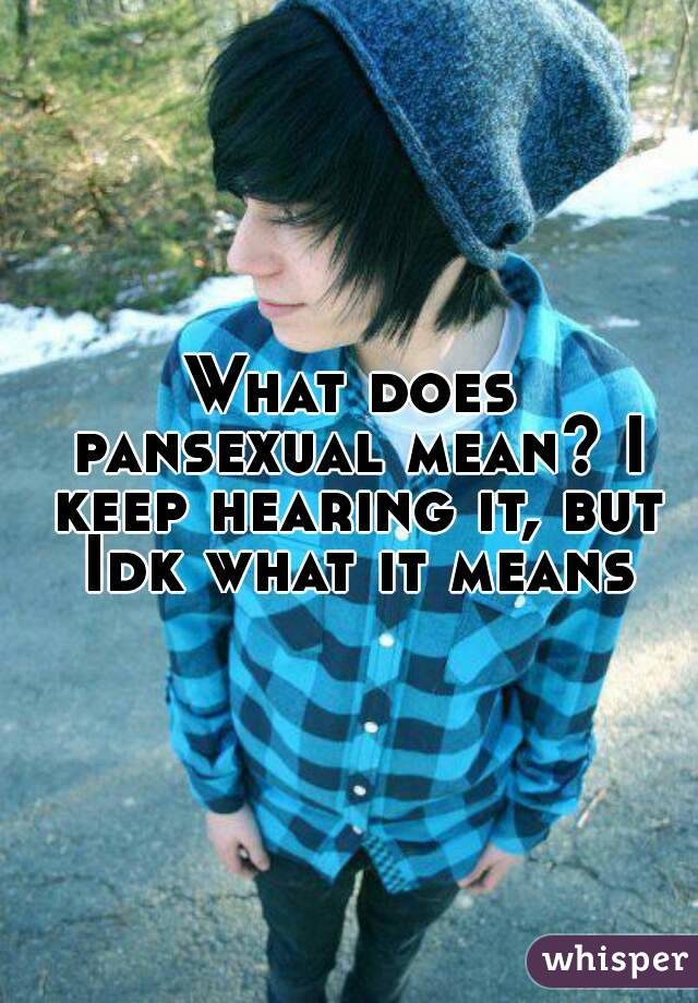 What does pansexual mean? I keep hearing it, but Idk what it means