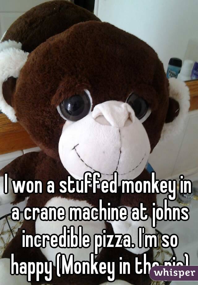 I won a stuffed monkey in a crane machine at johns incredible pizza. I'm so happy (Monkey in the pic)