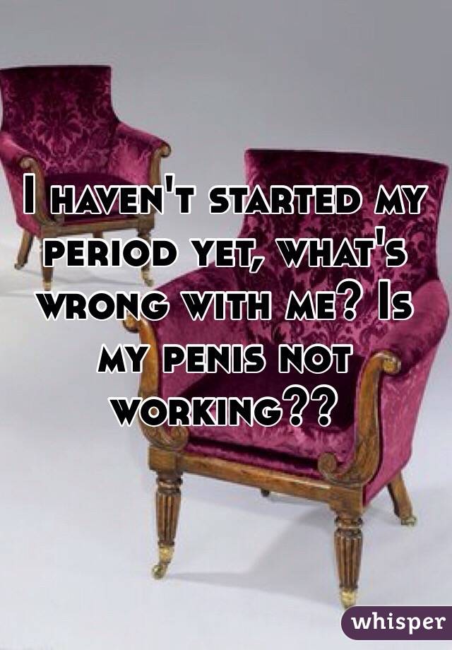 I haven't started my period yet, what's wrong with me? Is my penis not working??