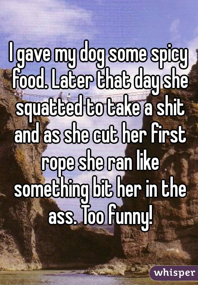 I gave my dog some spicy food. Later that day she squatted to take a shit and as she cut her first rope she ran like something bit her in the ass. Too funny!