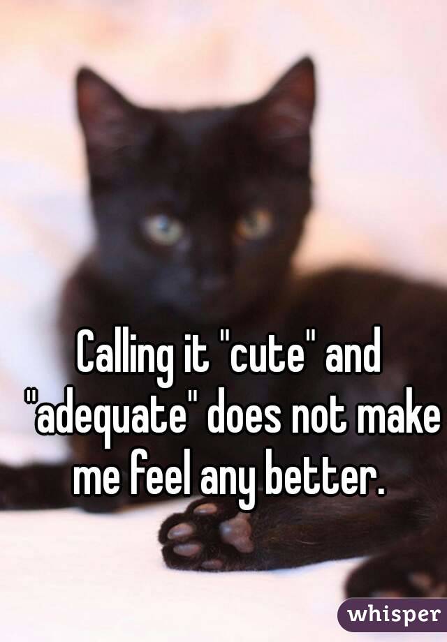 Calling it "cute" and "adequate" does not make me feel any better. 