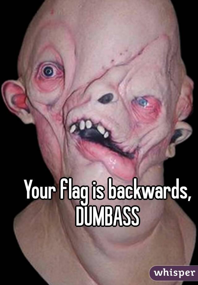 Your flag is backwards, DUMBASS 