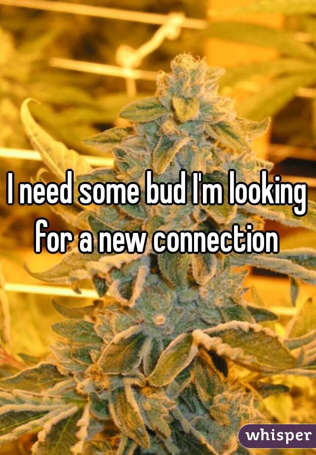 I need some bud I'm looking for a new connection 
