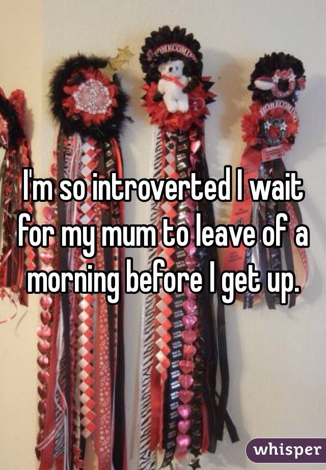 I'm so introverted I wait for my mum to leave of a morning before I get up. 