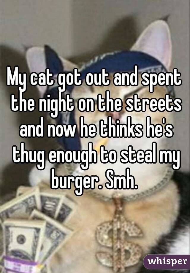 My cat got out and spent the night on the streets and now he thinks he's thug enough to steal my burger. Smh. 