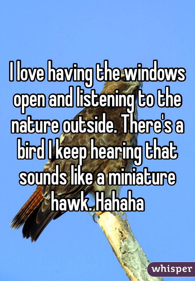 I love having the windows open and listening to the nature outside. There's a bird I keep hearing that sounds like a miniature hawk. Hahaha 
