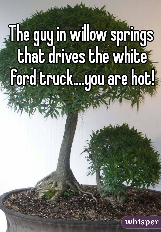 The guy in willow springs that drives the white ford truck....you are hot!