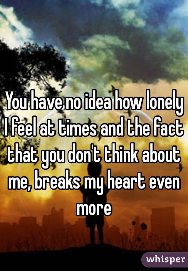 You have no idea how lonely I feel at times and the fact that you don't think about me, breaks my heart even more 