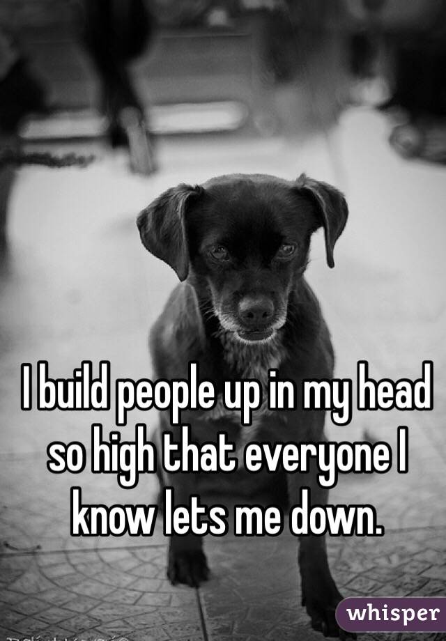 I build people up in my head so high that everyone I know lets me down. 
