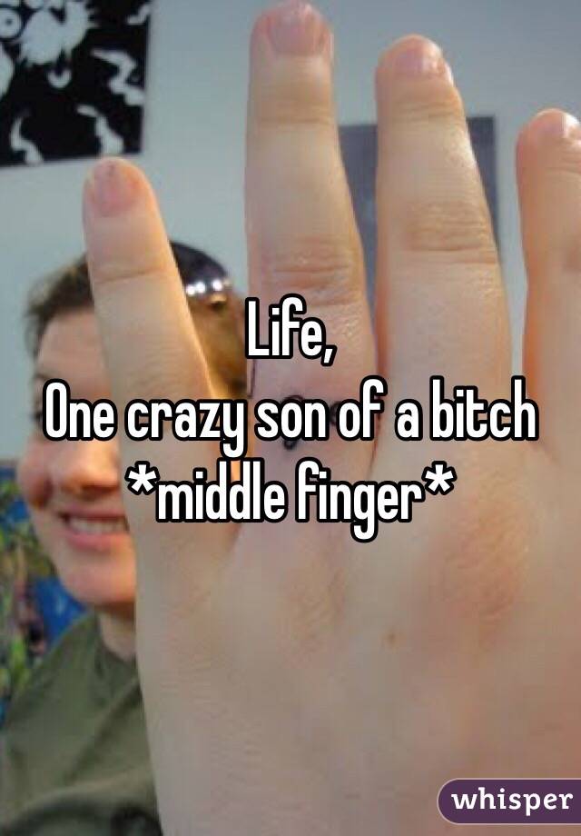 Life, 
One crazy son of a bitch 
*middle finger* 