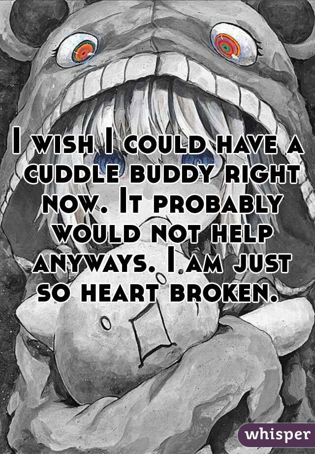 I wish I could have a cuddle buddy right now. It probably would not help anyways. I am just so heart broken. 