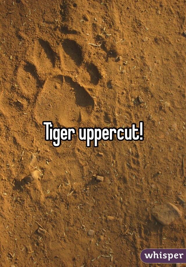 Tiger uppercut!