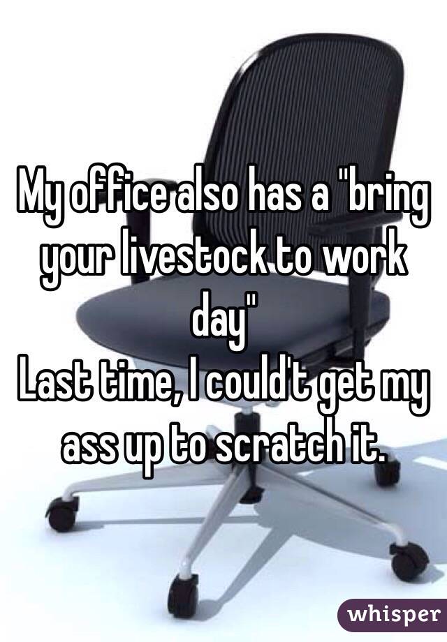 My office also has a "bring your livestock to work day"
Last time, I could't get my ass up to scratch it.