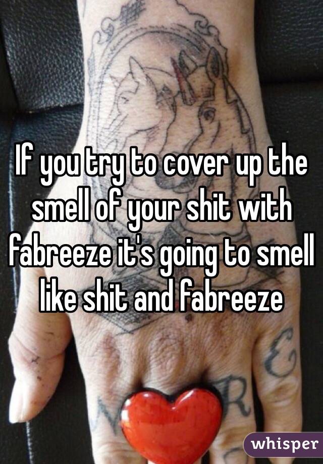 If you try to cover up the smell of your shit with fabreeze it's going to smell like shit and fabreeze 