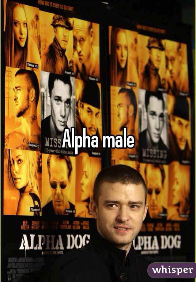 Alpha male 