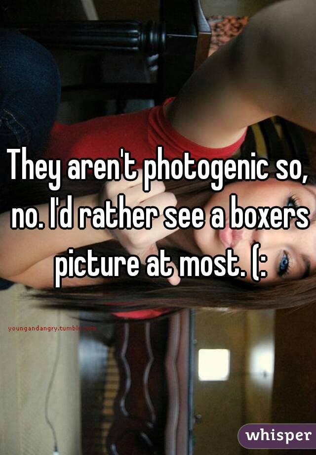 They aren't photogenic so, no. I'd rather see a boxers picture at most. (: