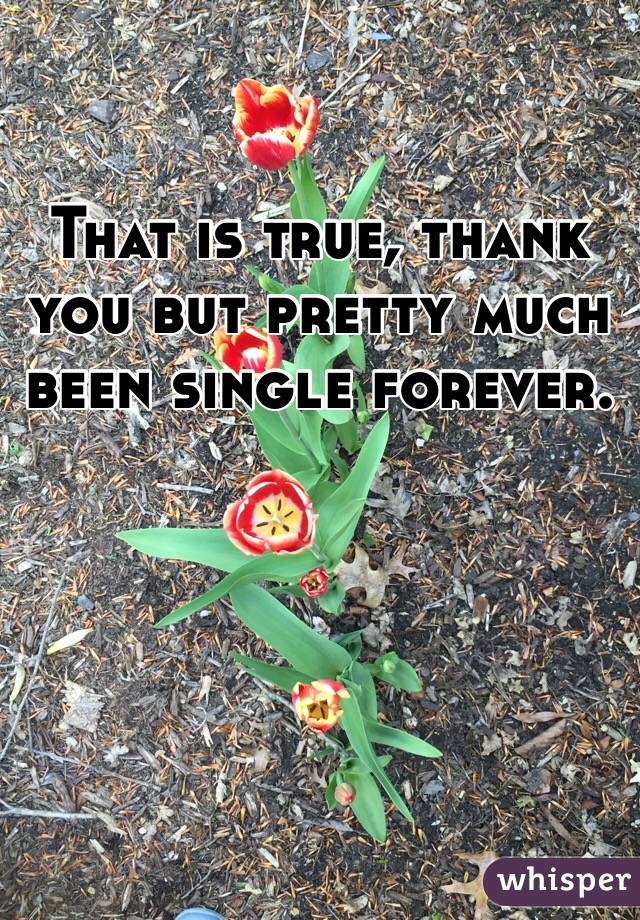 That is true, thank you but pretty much been single forever. 