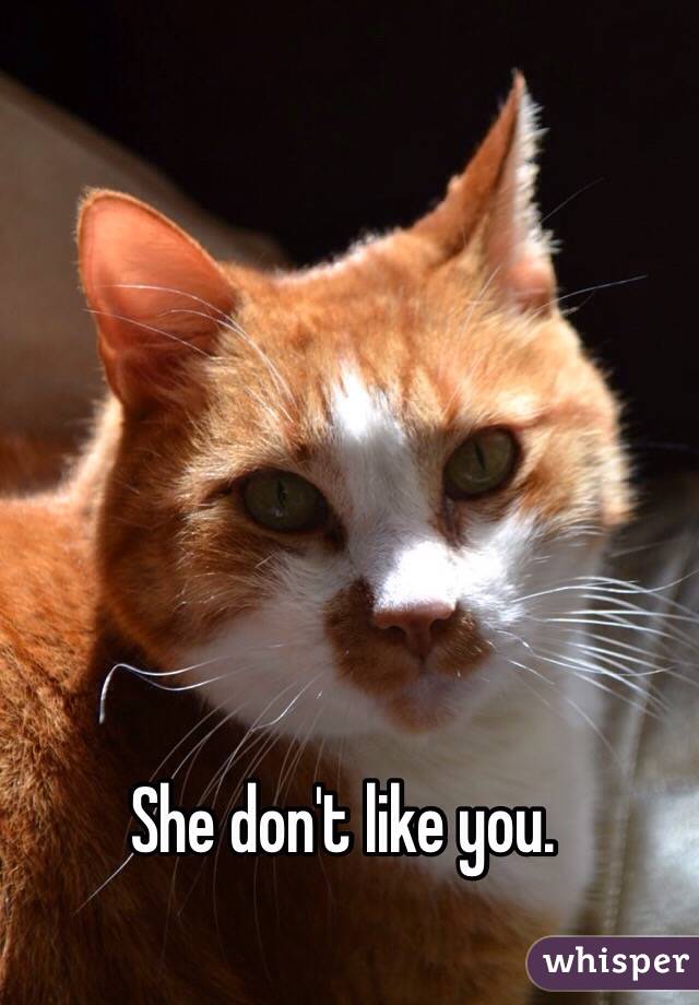 She don't like you. 