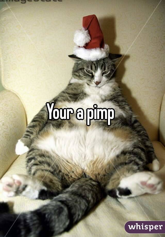 Your a pimp 