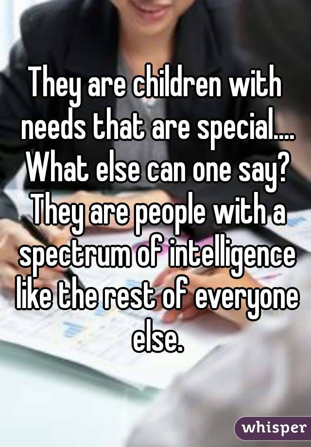 They are children with needs that are special.... What else can one say? They are people with a spectrum of intelligence like the rest of everyone else.