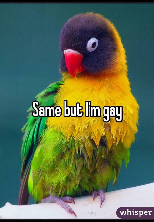 Same but I'm gay