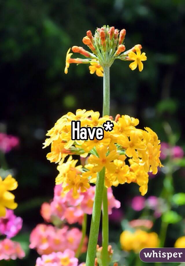 Have*