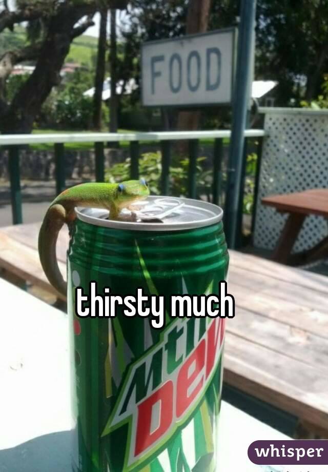 thirsty much 