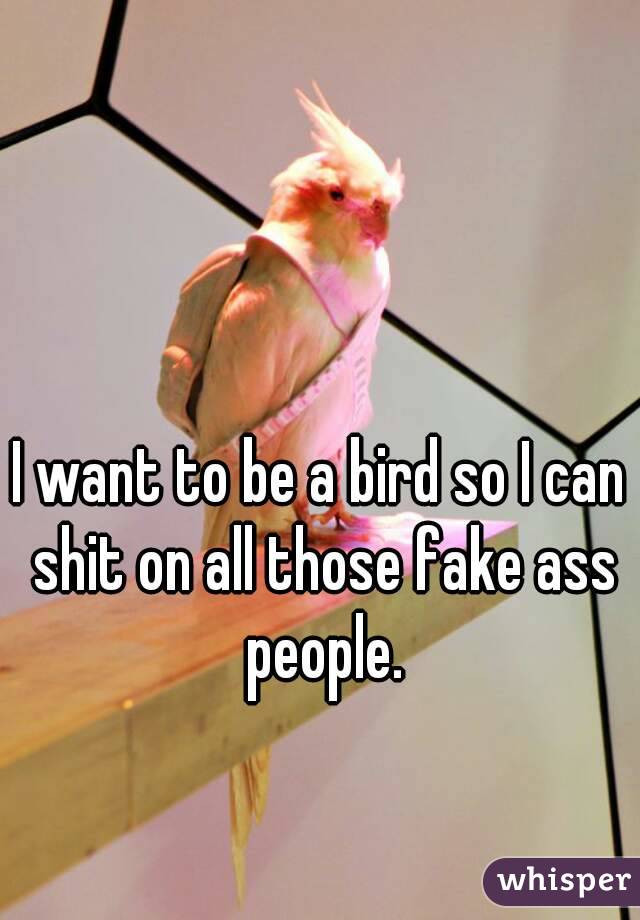 I want to be a bird so I can shit on all those fake ass people.