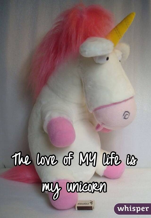 The love of MY life is my unicorn
