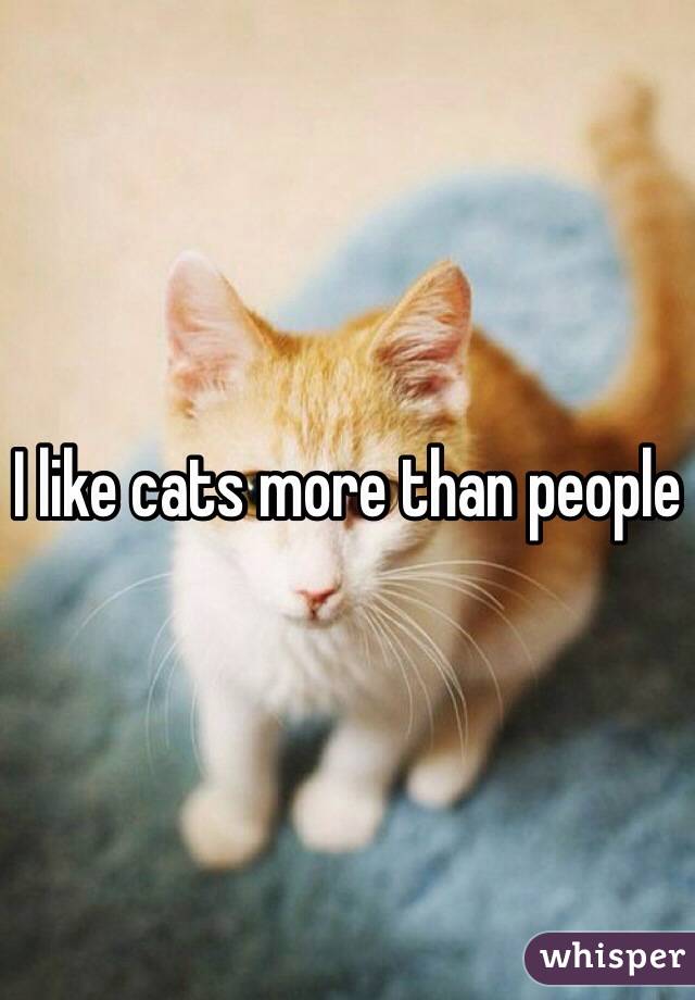 I like cats more than people