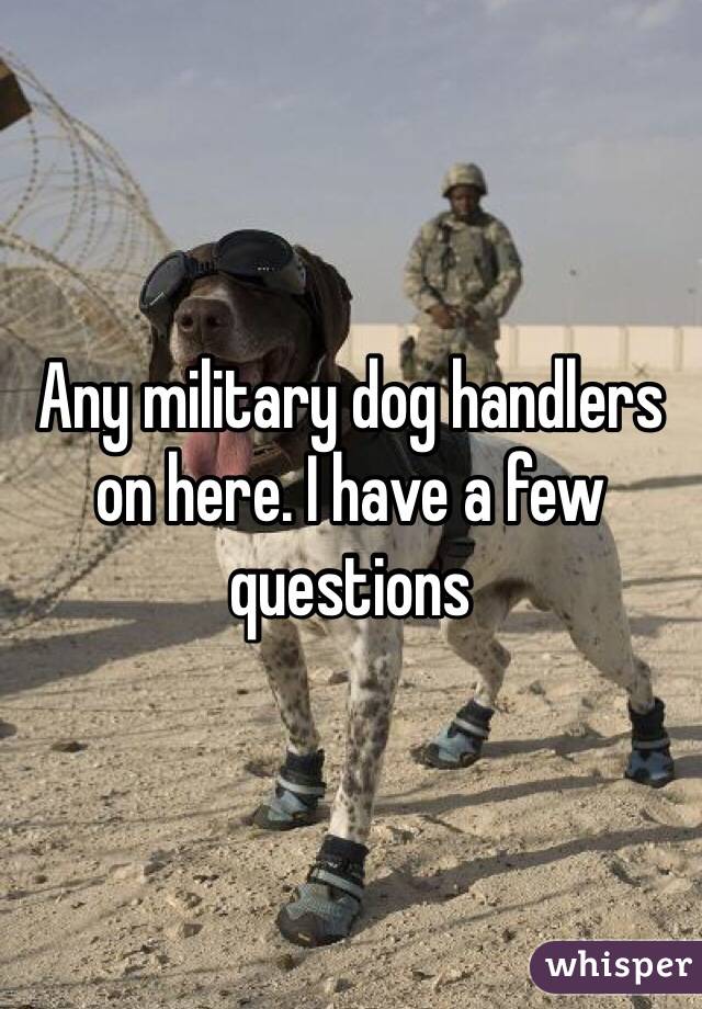 Any military dog handlers on here. I have a few questions 