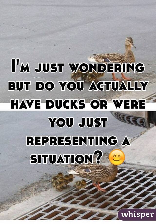 I'm just wondering but do you actually have ducks or were you just representing a situation? 😊