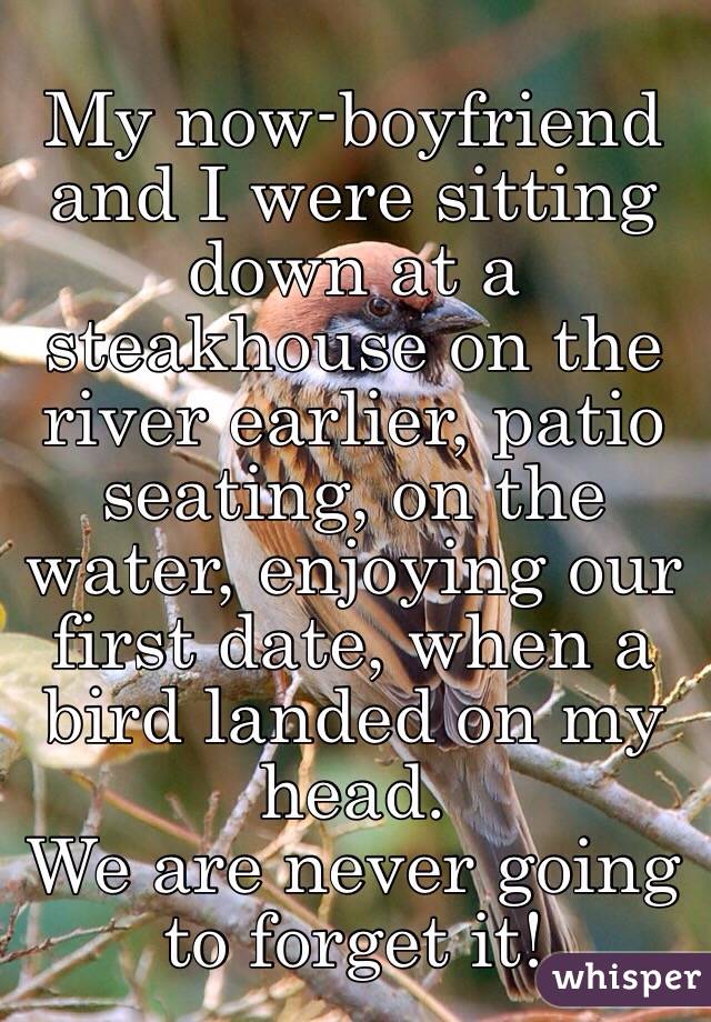 My now-boyfriend and I were sitting down at a steakhouse on the river earlier, patio seating, on the water, enjoying our first date, when a bird landed on my head. 
We are never going to forget it!