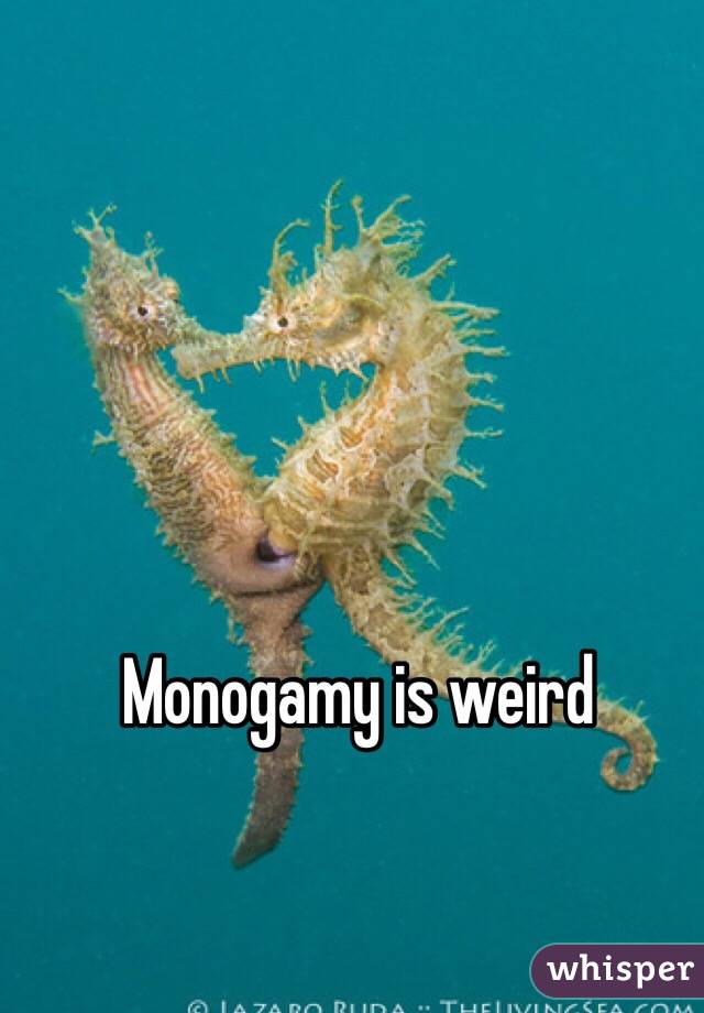 Monogamy is weird