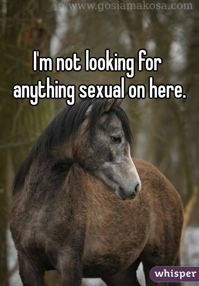 I'm not looking for anything sexual on here.