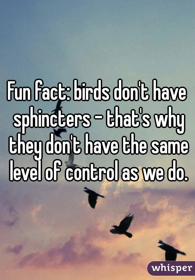 Fun fact: birds don't have sphincters - that's why they don't have the same level of control as we do.