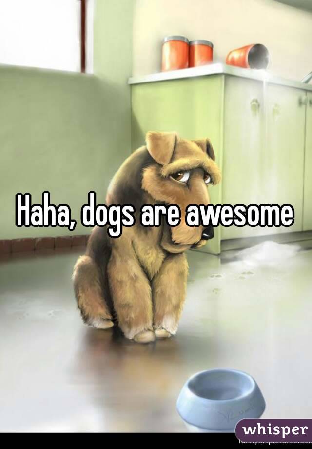 Haha, dogs are awesome